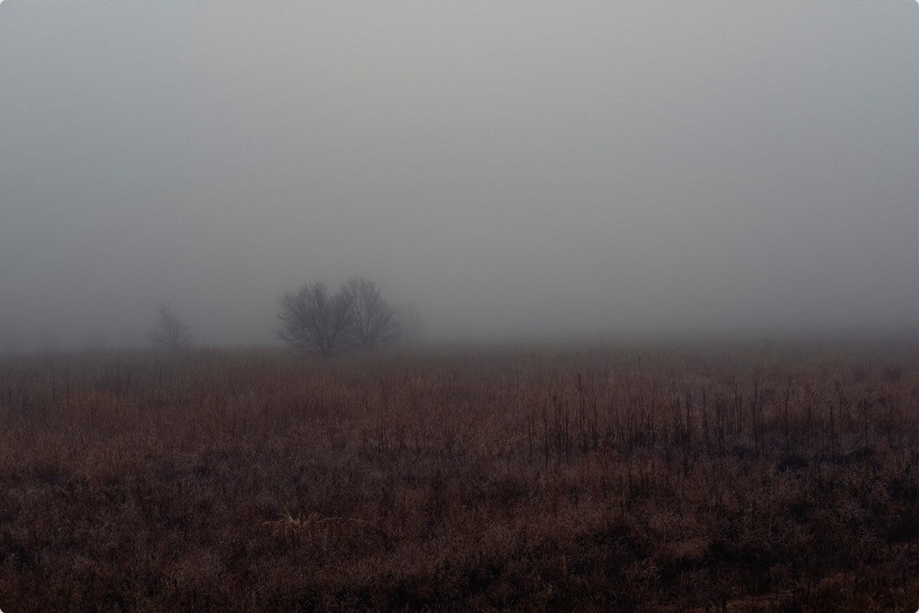 West Texas Winter Fog - 3