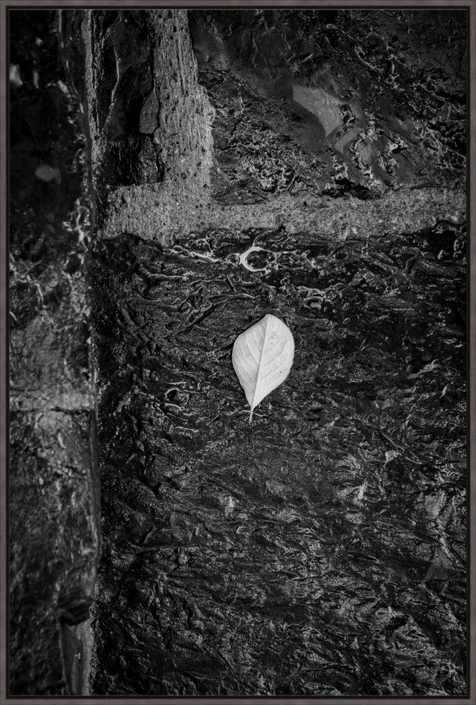 Leaf on Stone B/W