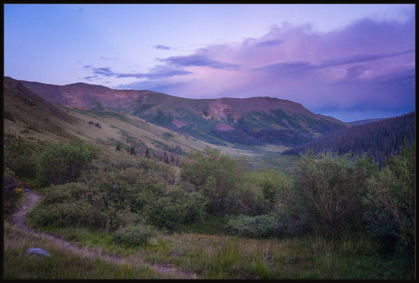 Violet Sunset II
