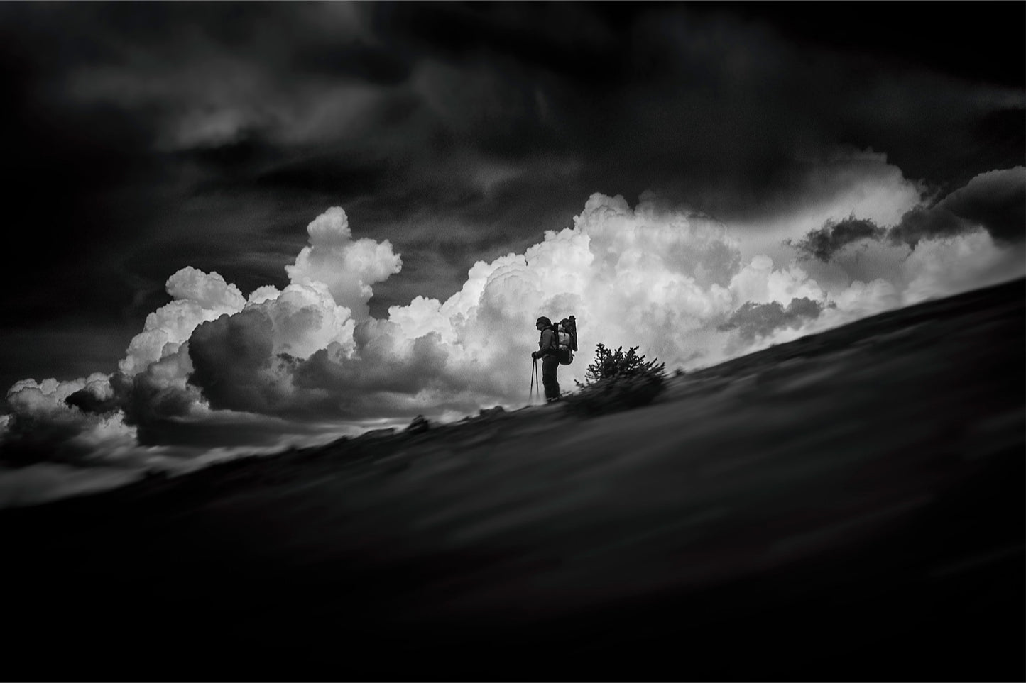 The Hiker