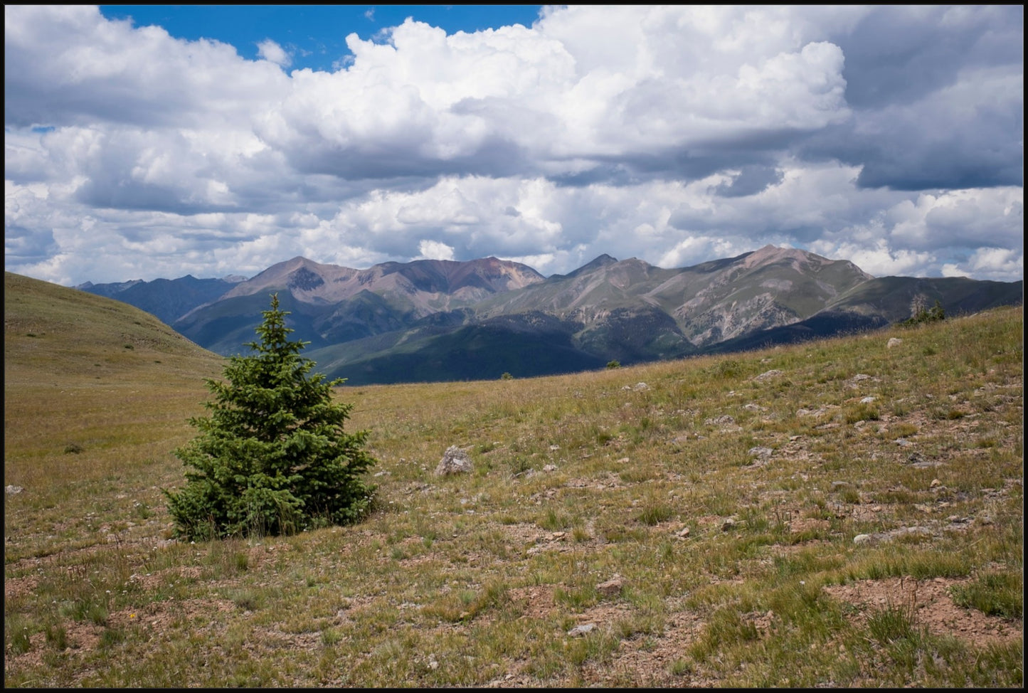 Evergreen Views