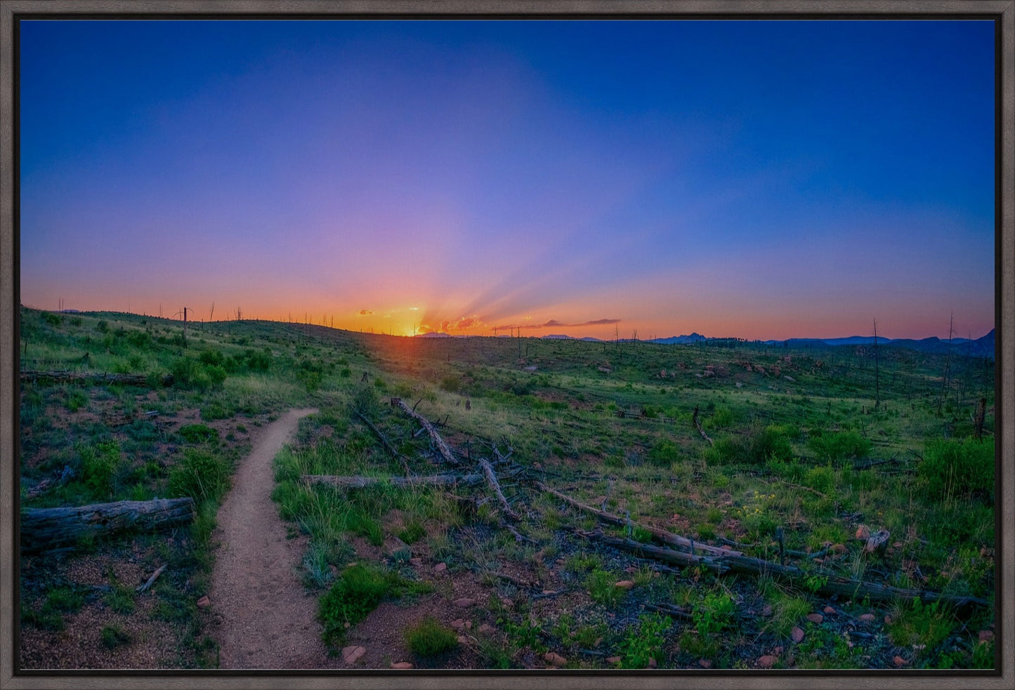 Burn Area Sunset