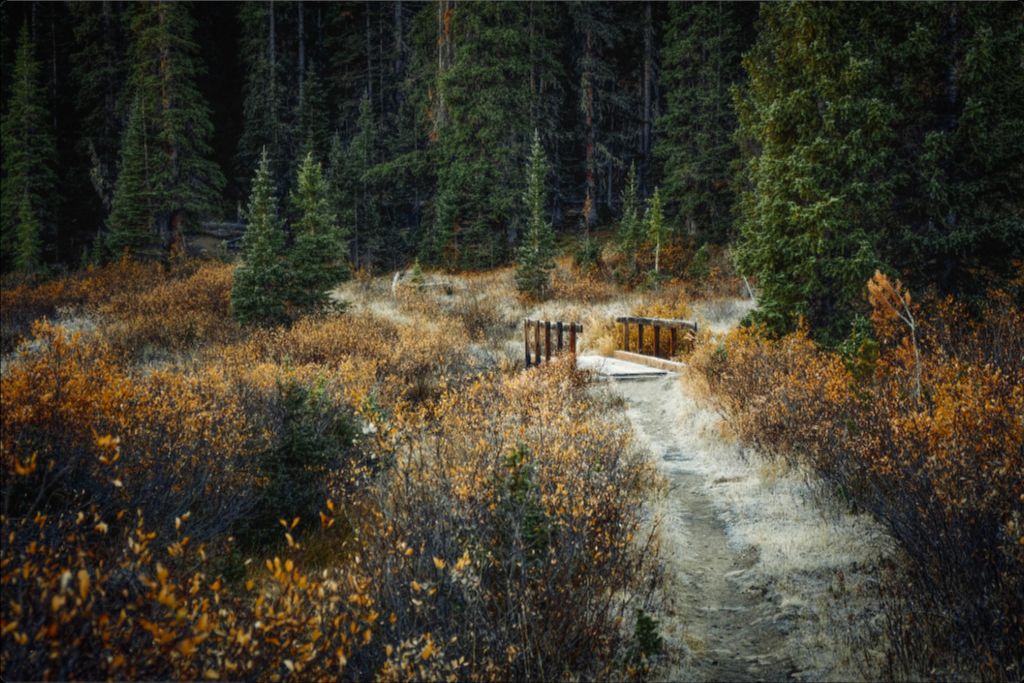 September Frost