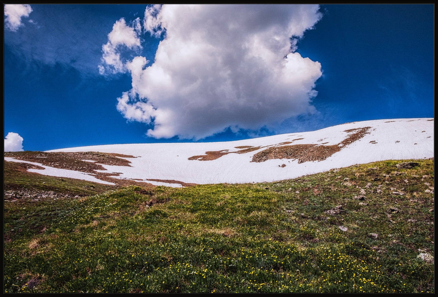 Summer Snow