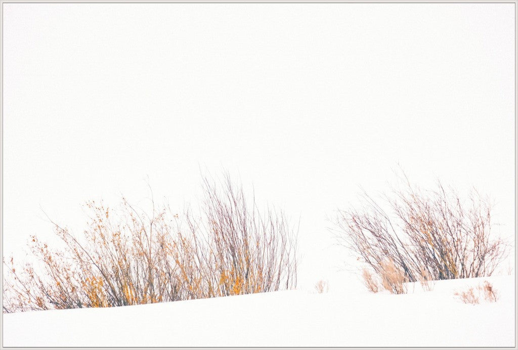 Fire & Snow