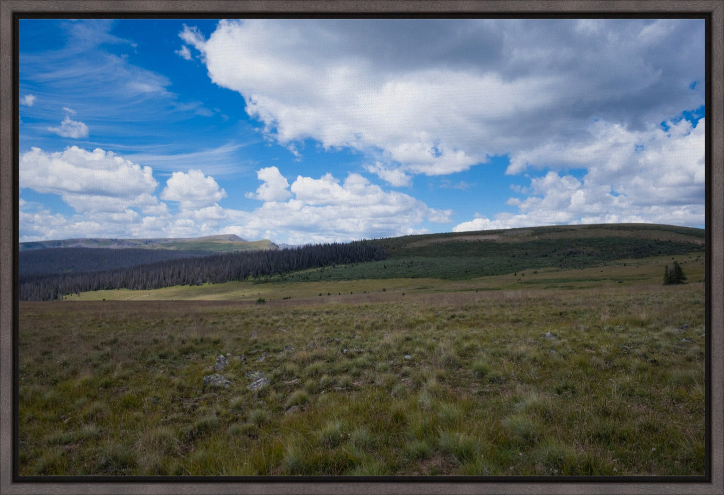 Soft Green Meadow