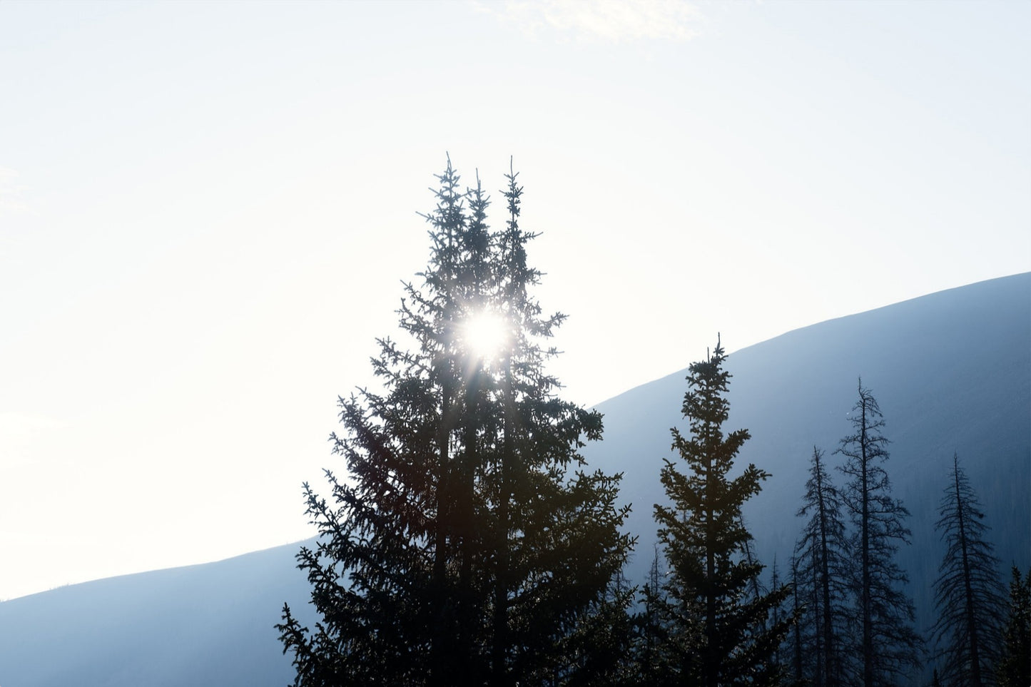 Angles of Light