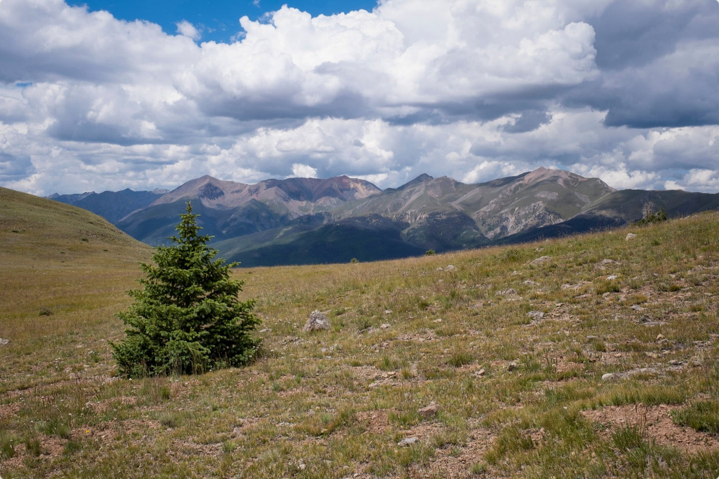 Evergreen Views