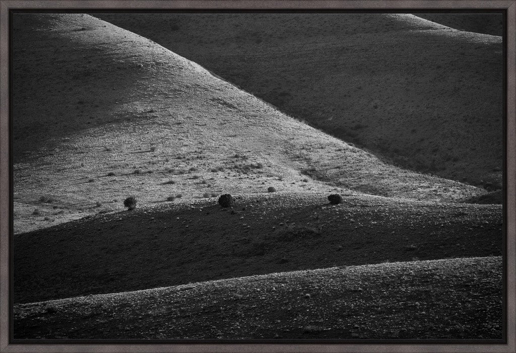 Bodies of Land III