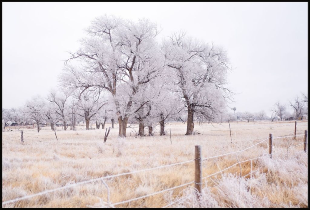 Frozen Enchantment II