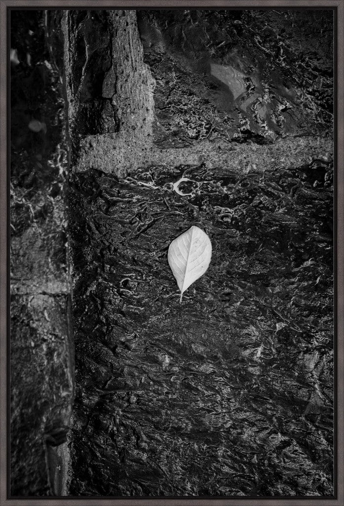 Leaf on Stone B/W