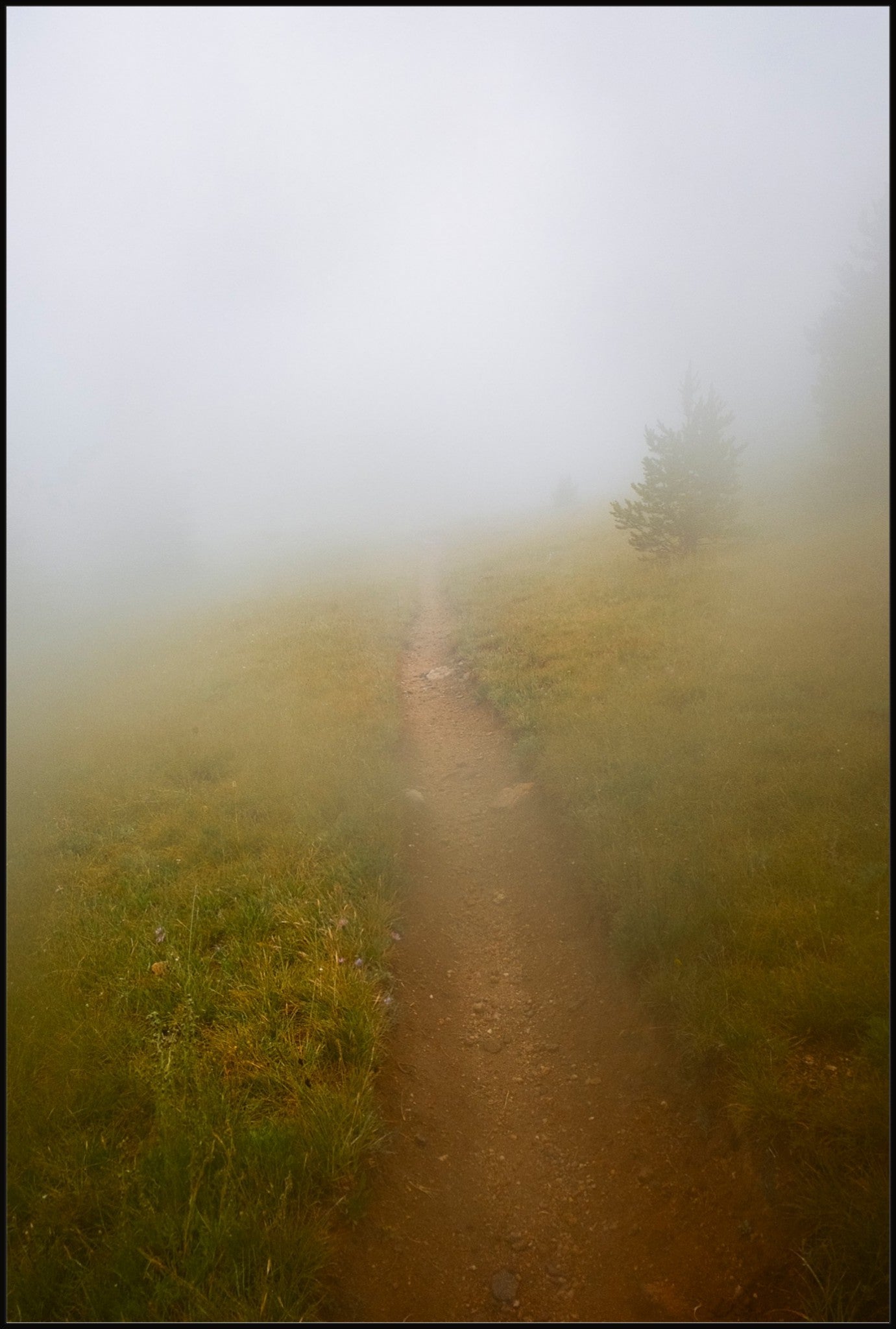 Late August Fog
