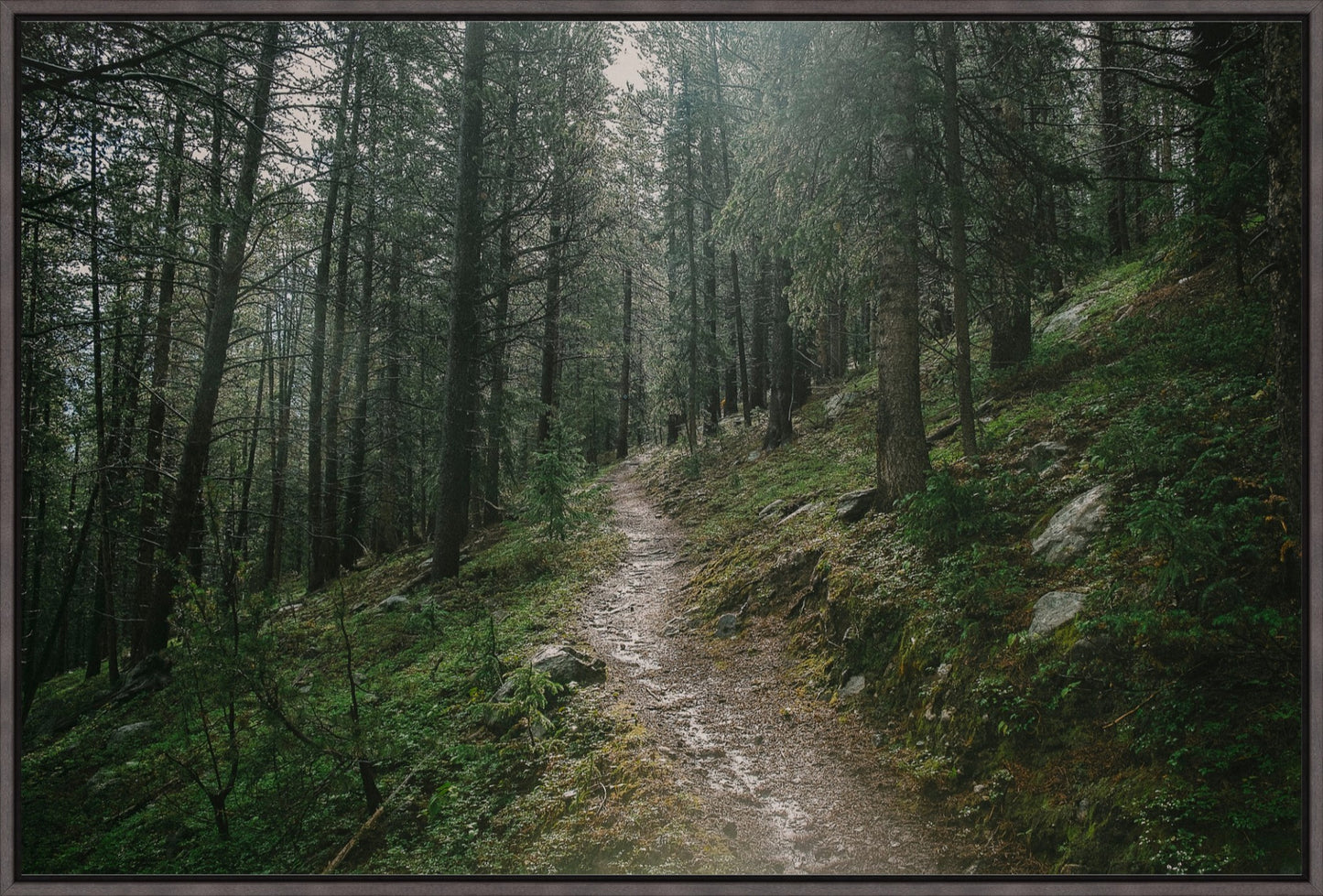Deep Wilderness