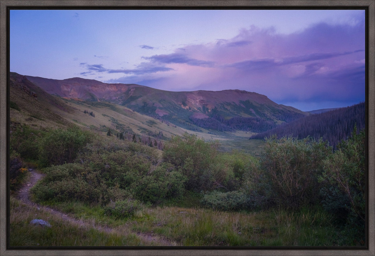 Violet Sunset II