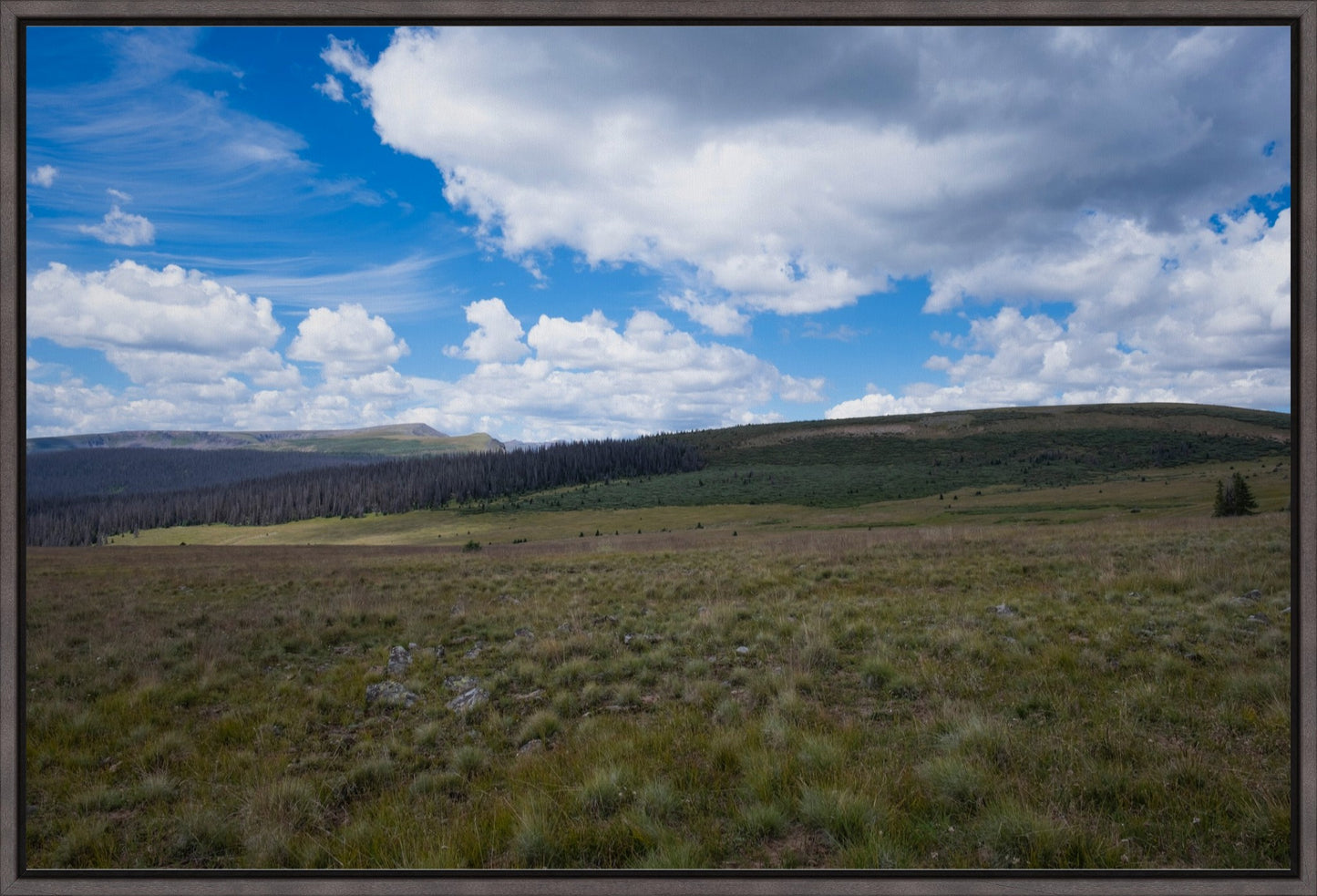 Soft Green Meadow