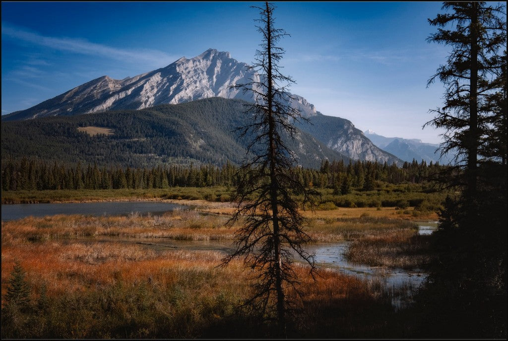 Alberta Wilderness Scene II
