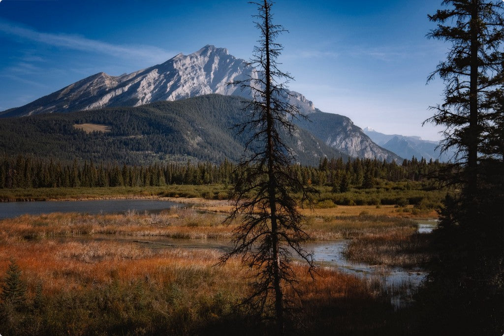 Alberta Wilderness Scene II