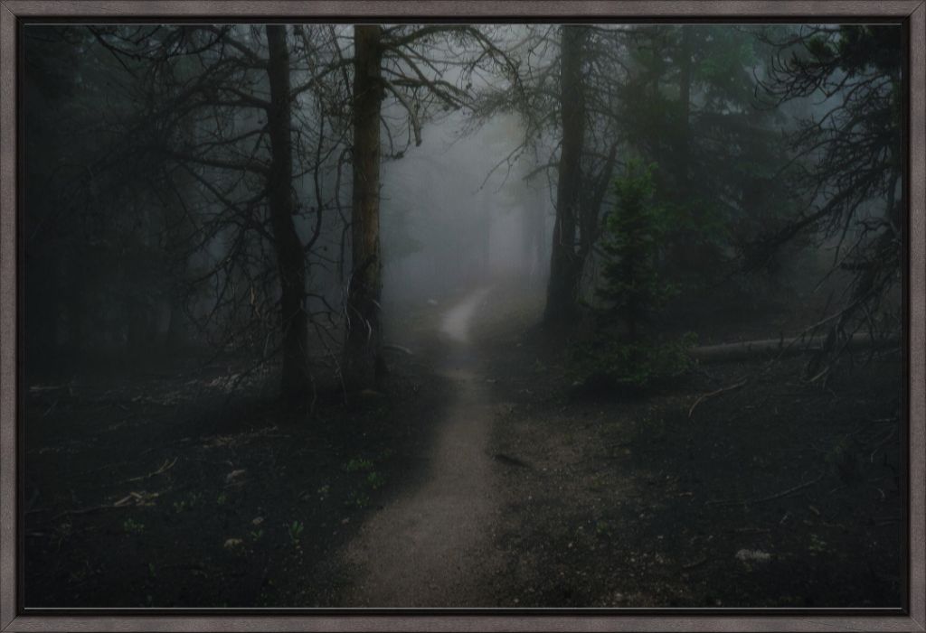 Dark Forest