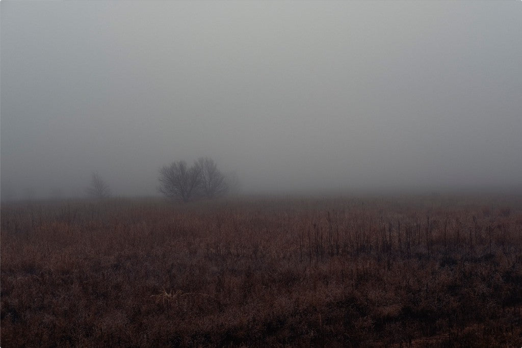 West Texas Winter Fog - 3