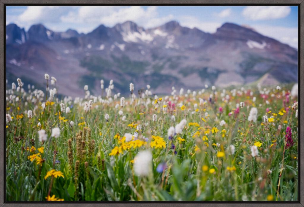 Gold at the End of Indian Trail Ridge