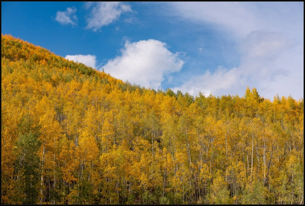 Golden Slopes