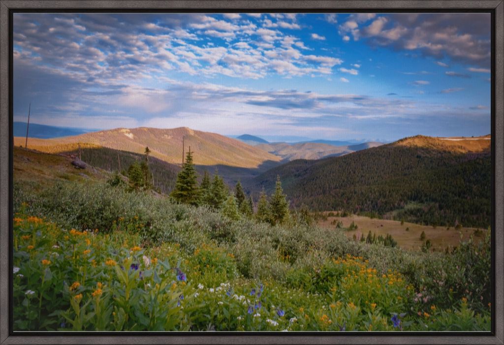 Wildflowers and Distant Valley