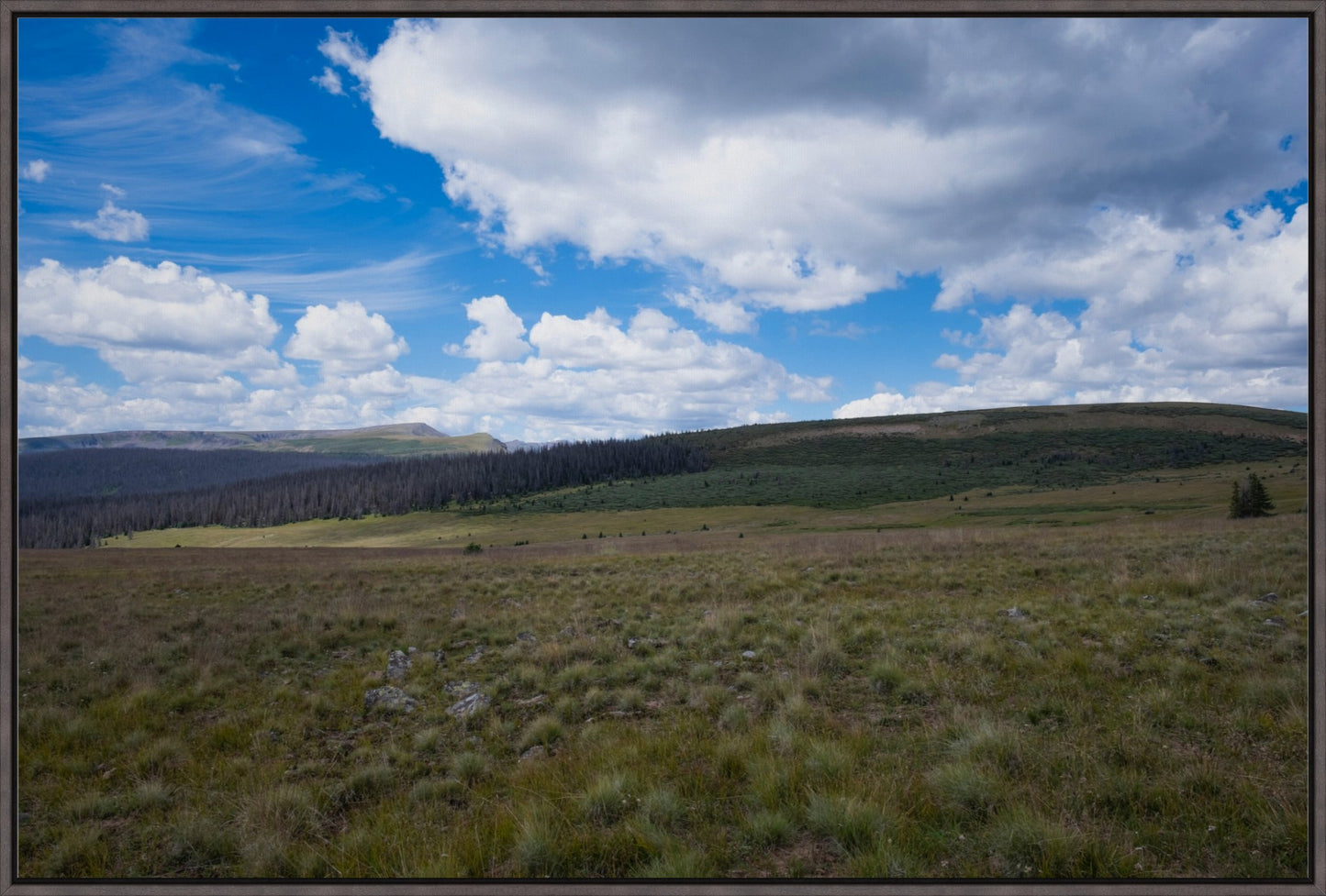 Soft Green Meadow