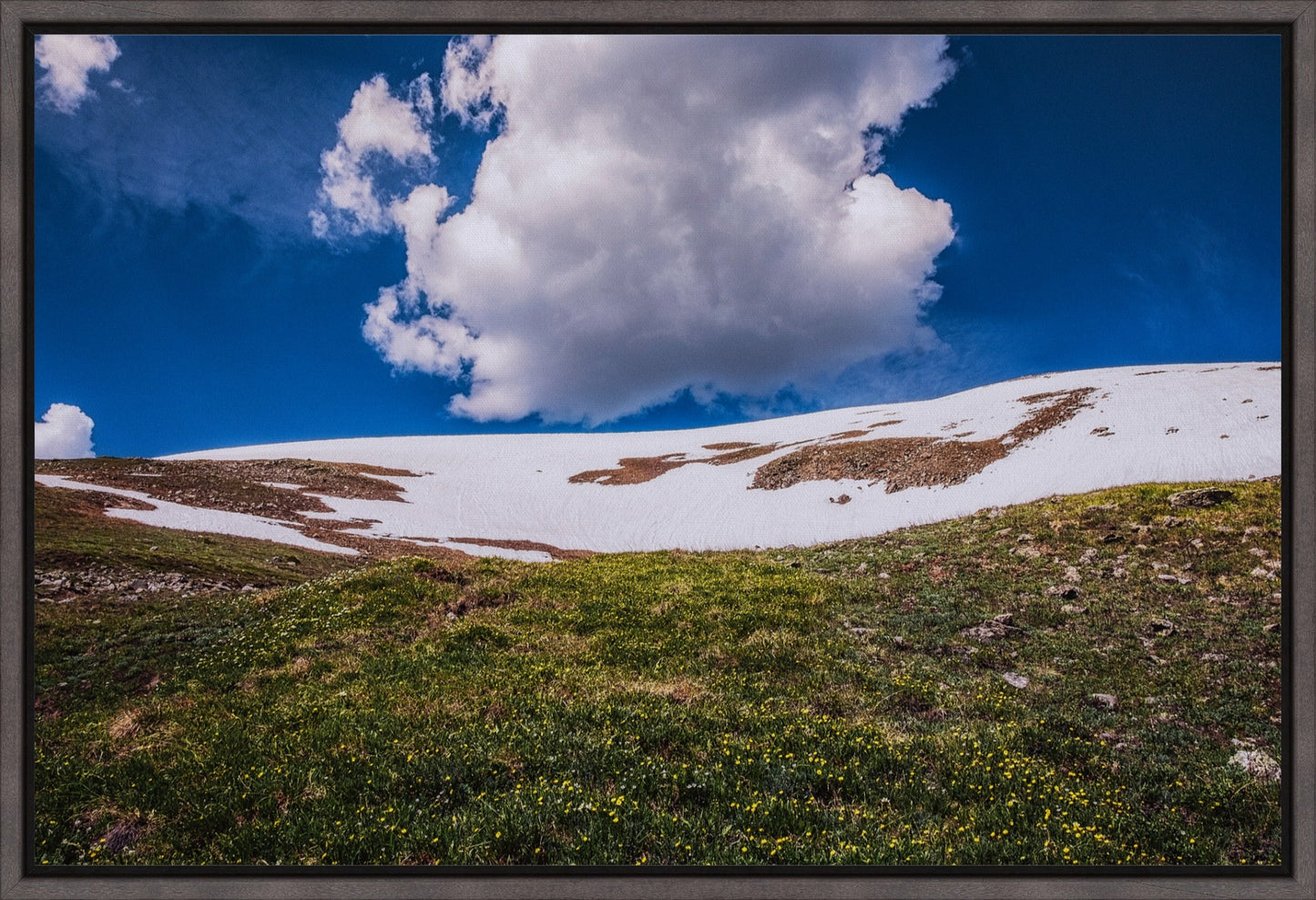 Summer Snow