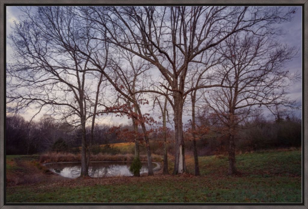 Peaceful TN Pond