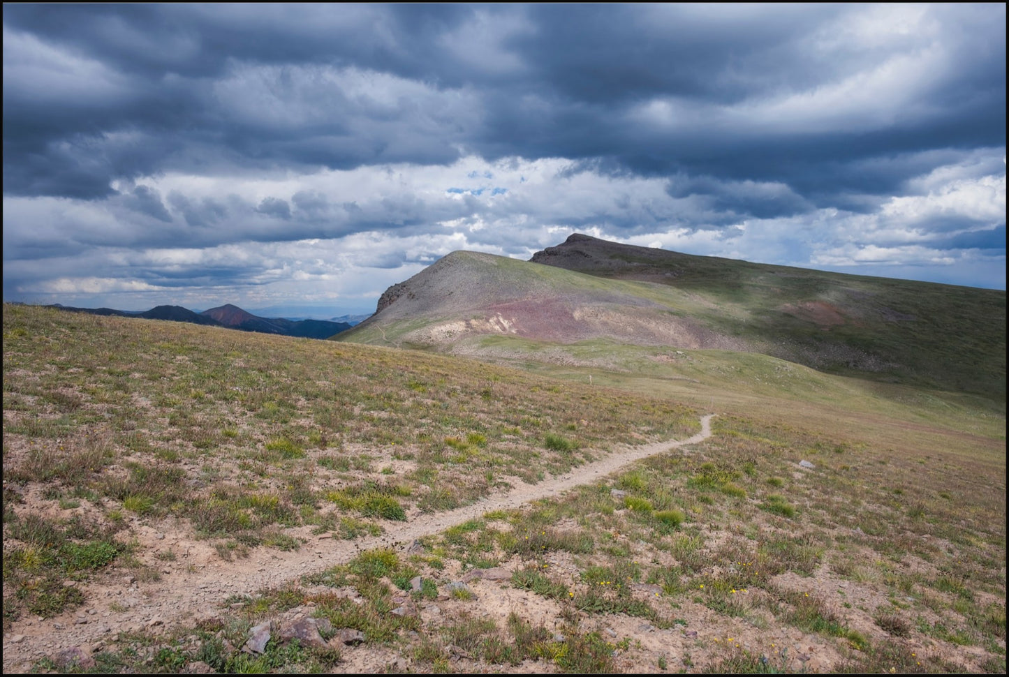A Path Forward