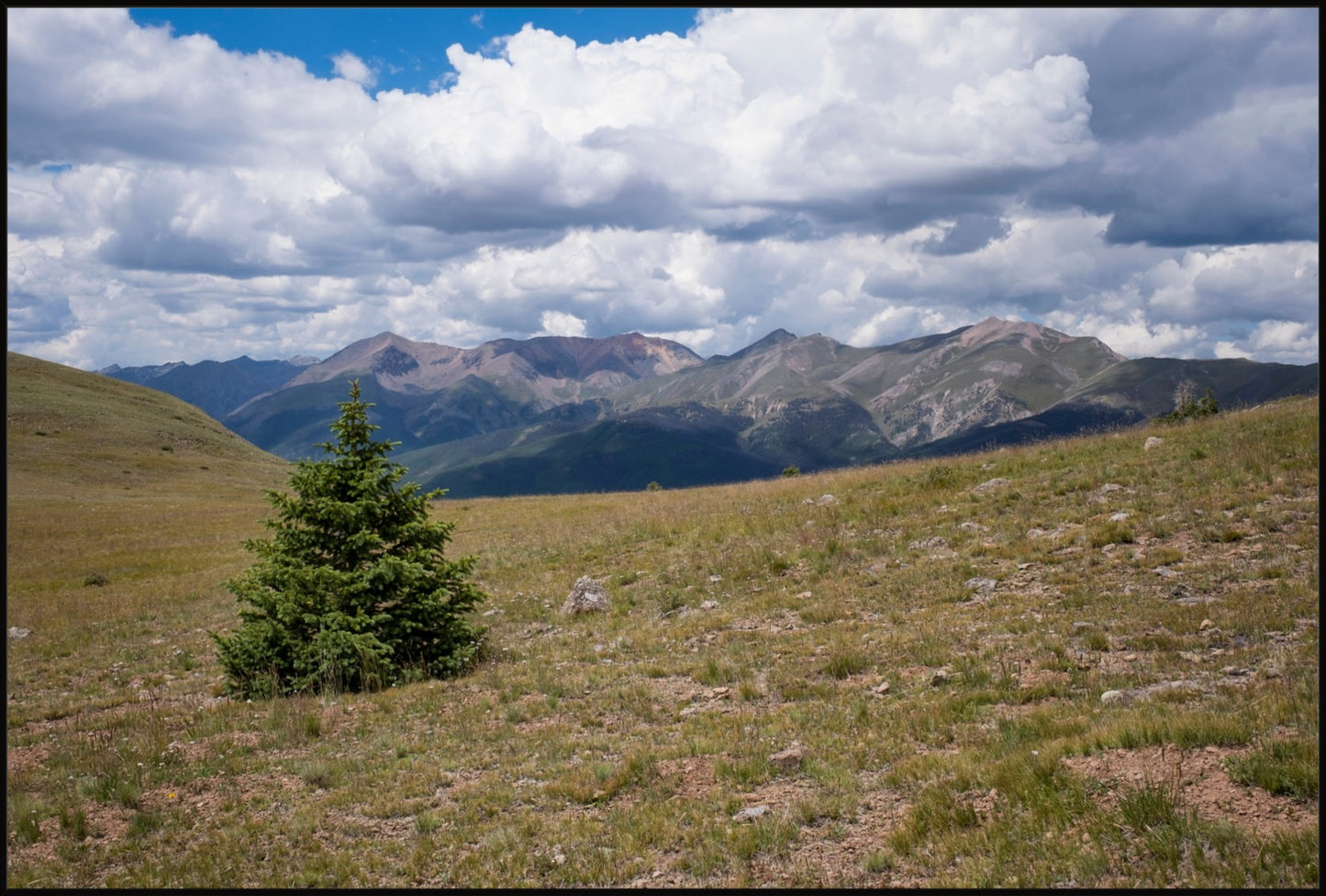 Evergreen Views