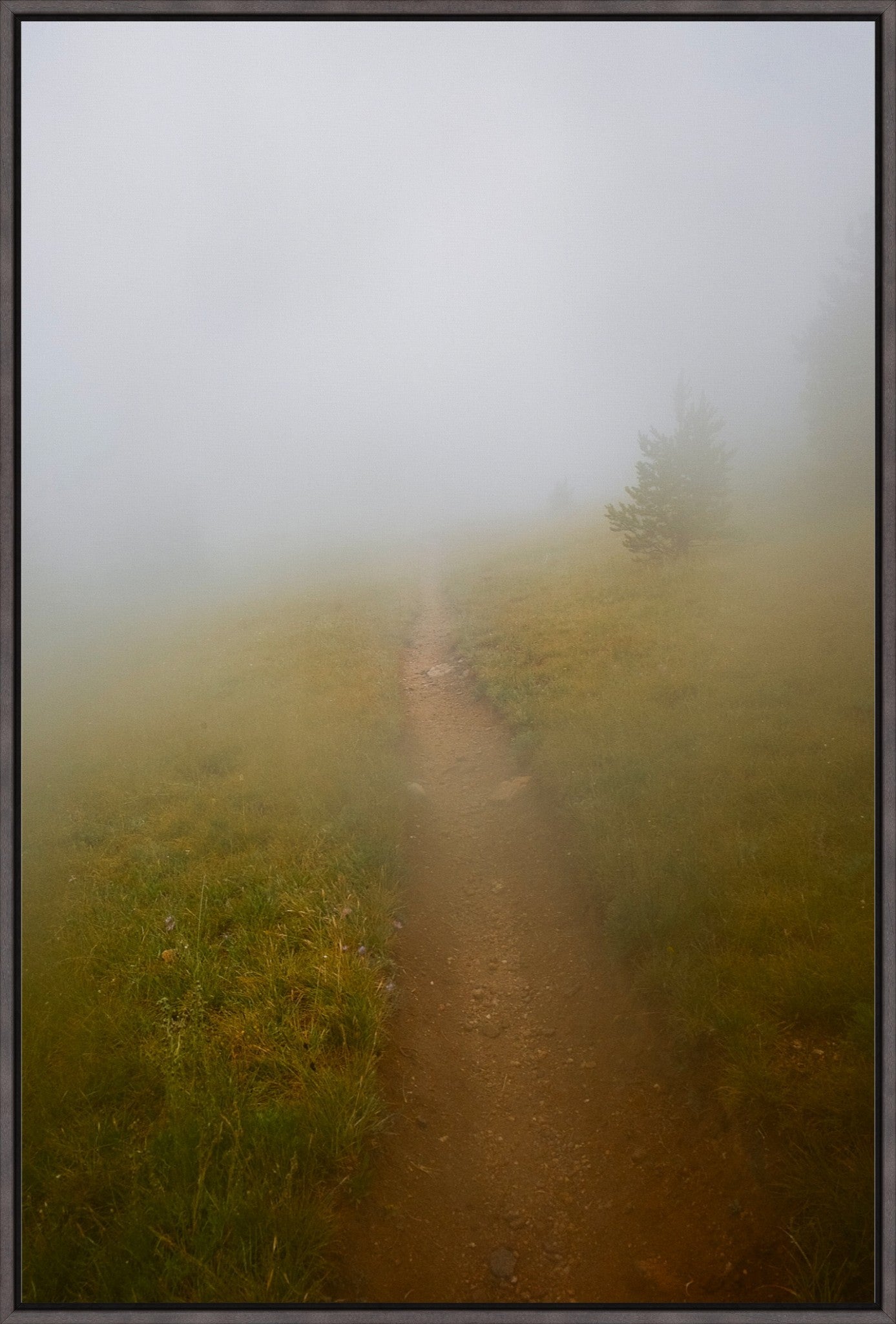 Late August Fog