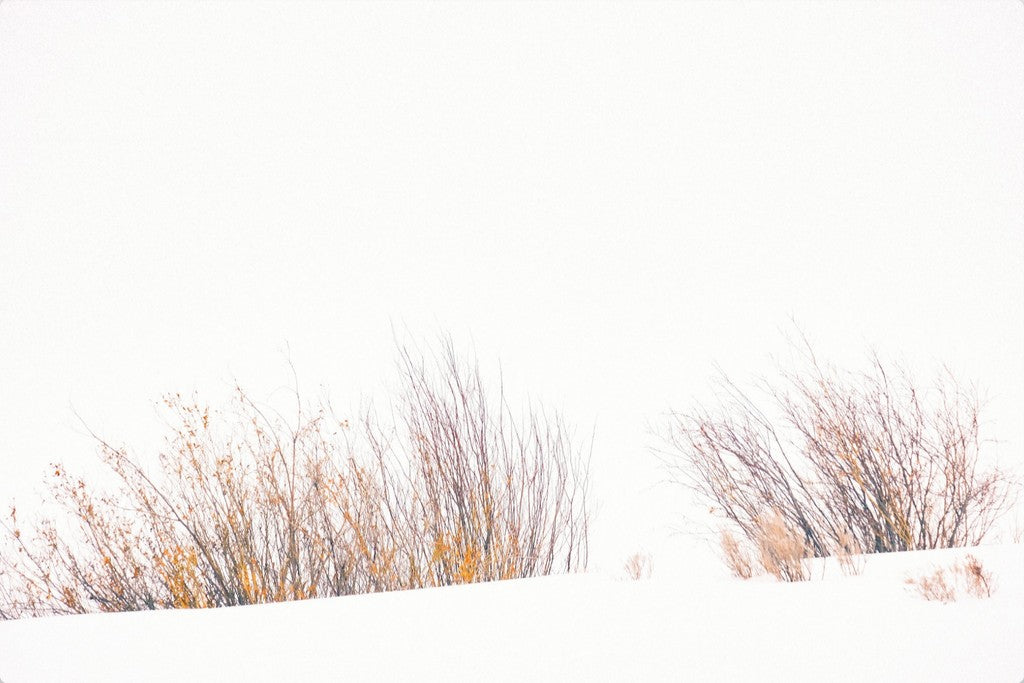 Fire & Snow