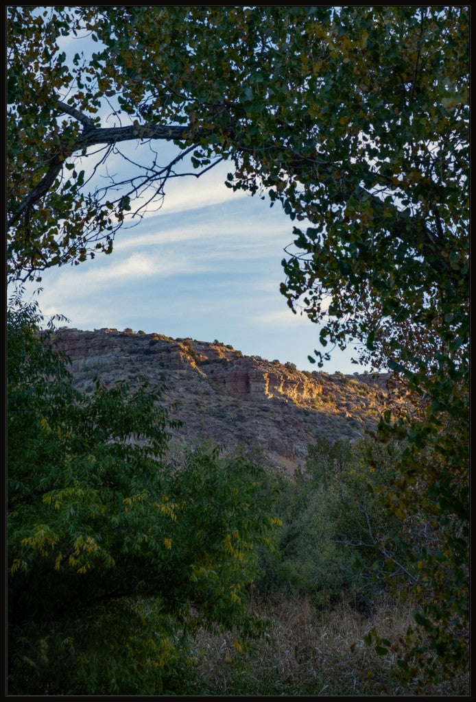 First Light on the Canyon Walls