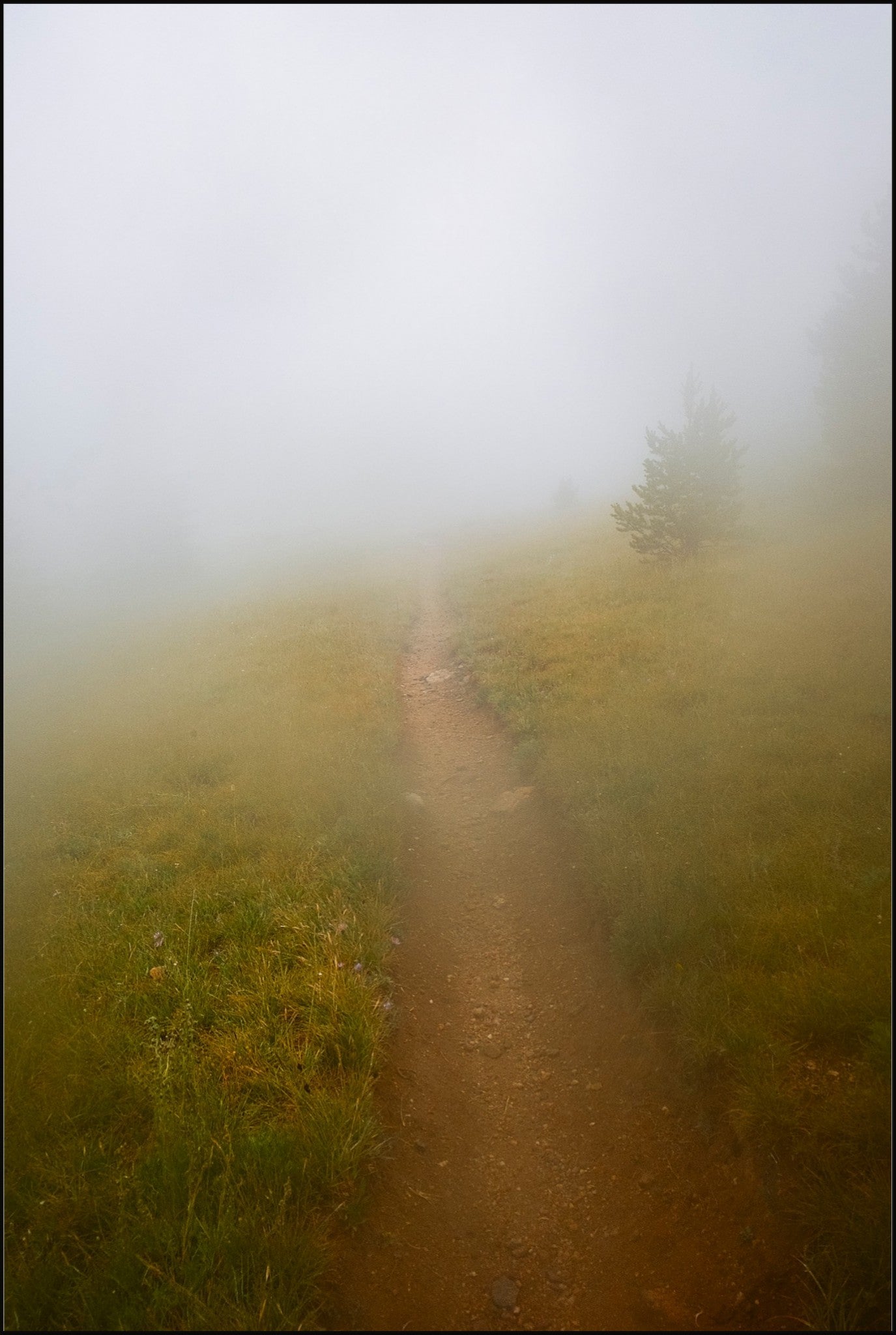 Late August Fog