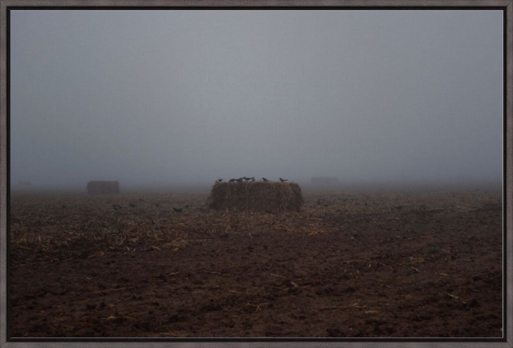 West Texas Winter Fog - 7