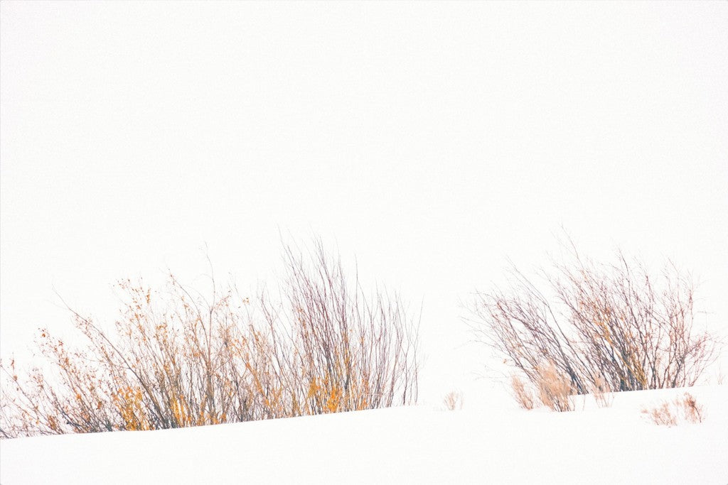 Fire & Snow
