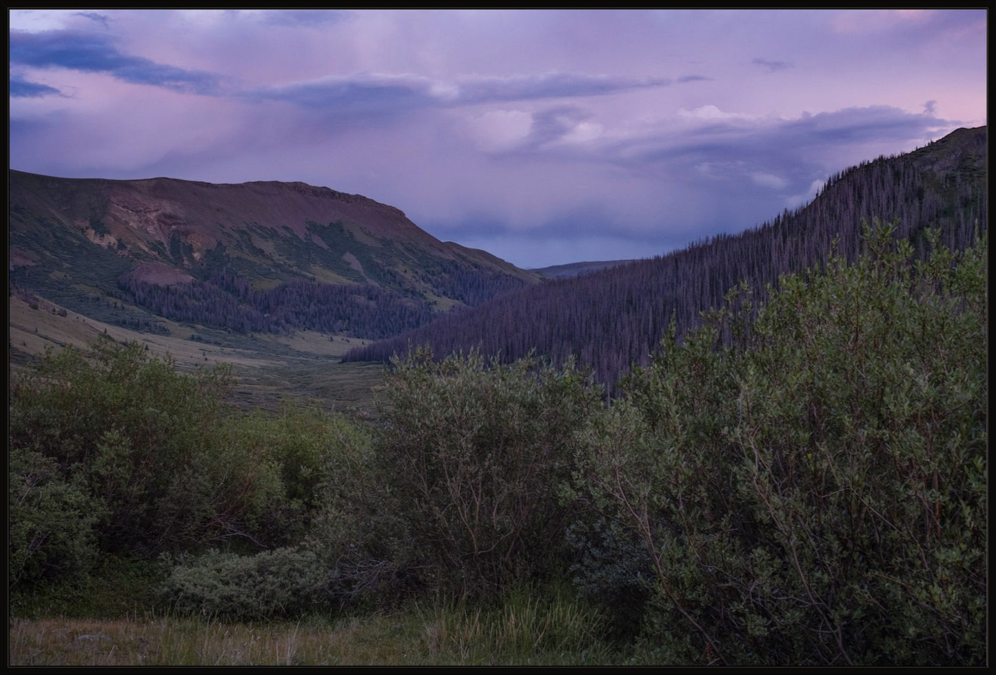 Violet Sunset I