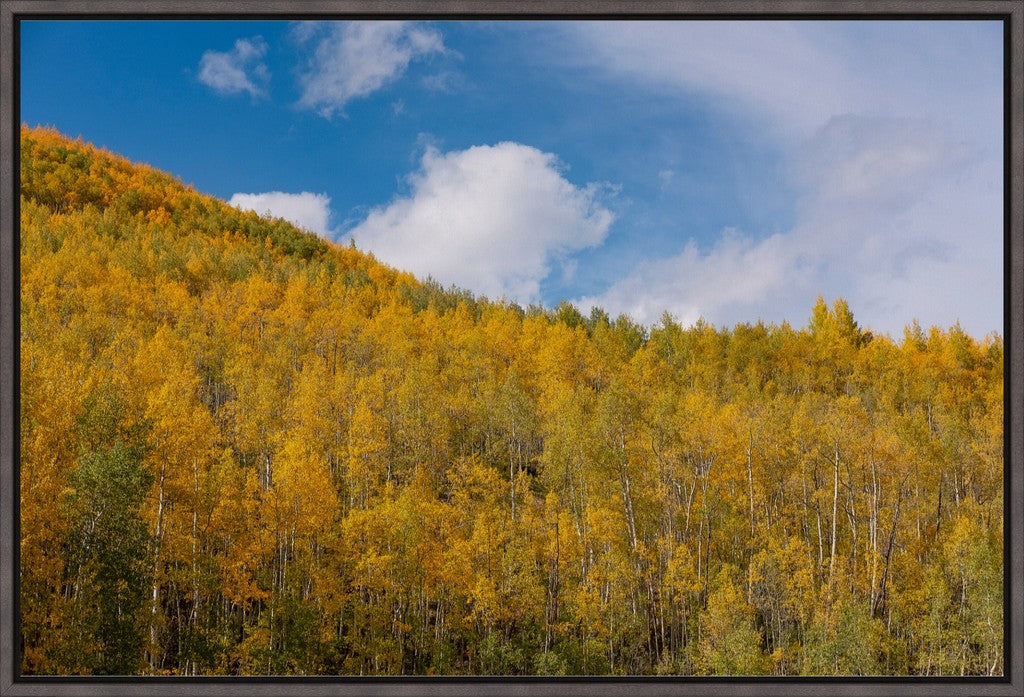 Golden Slopes