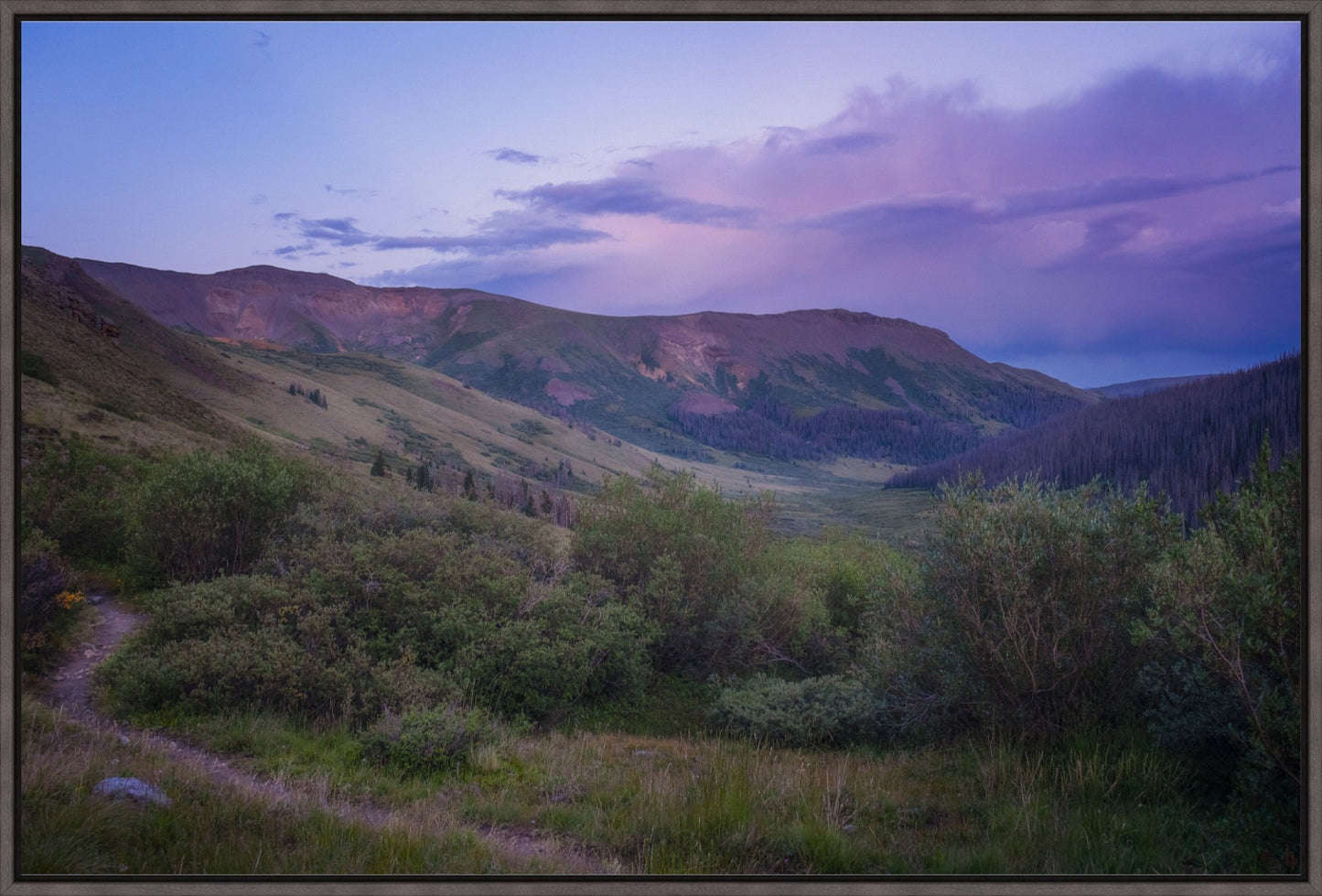 Violet Sunset II