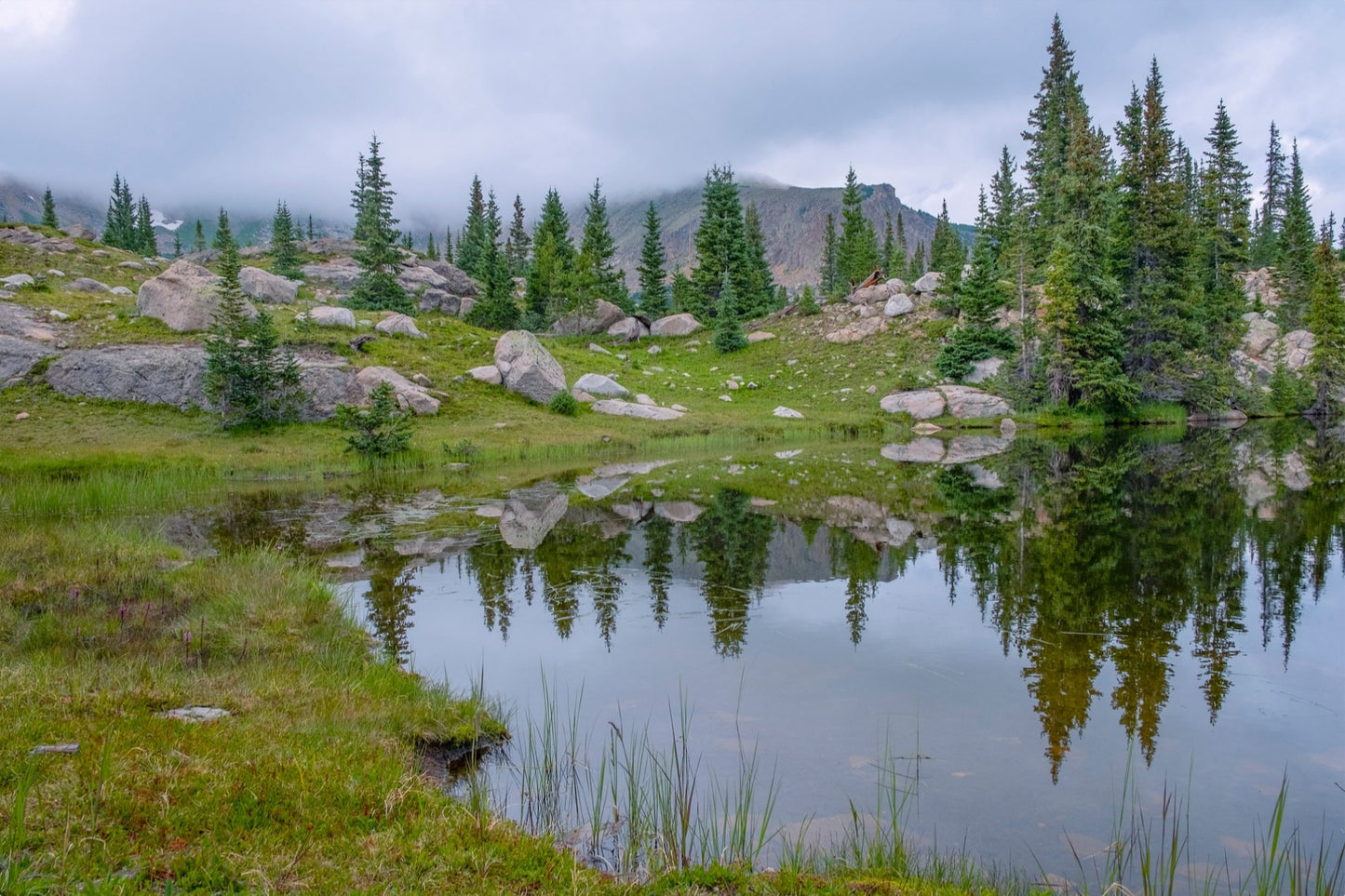 Trail Reflections