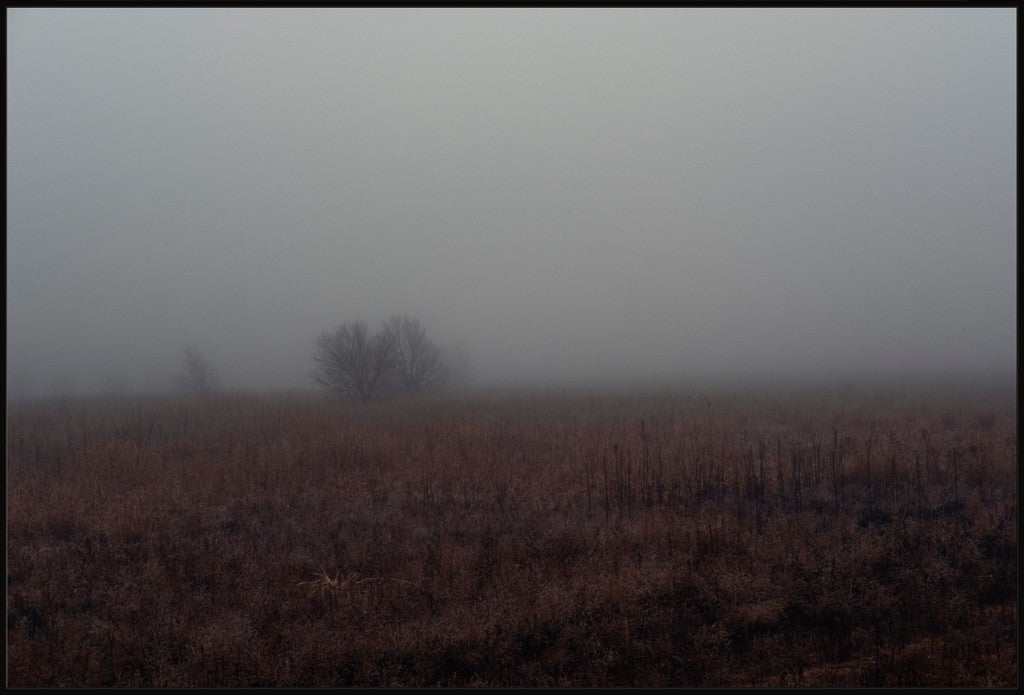 West Texas Winter Fog - 3