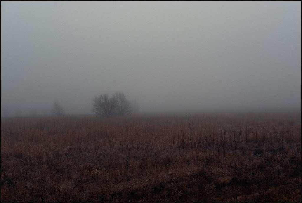 West Texas Winter Fog - 3