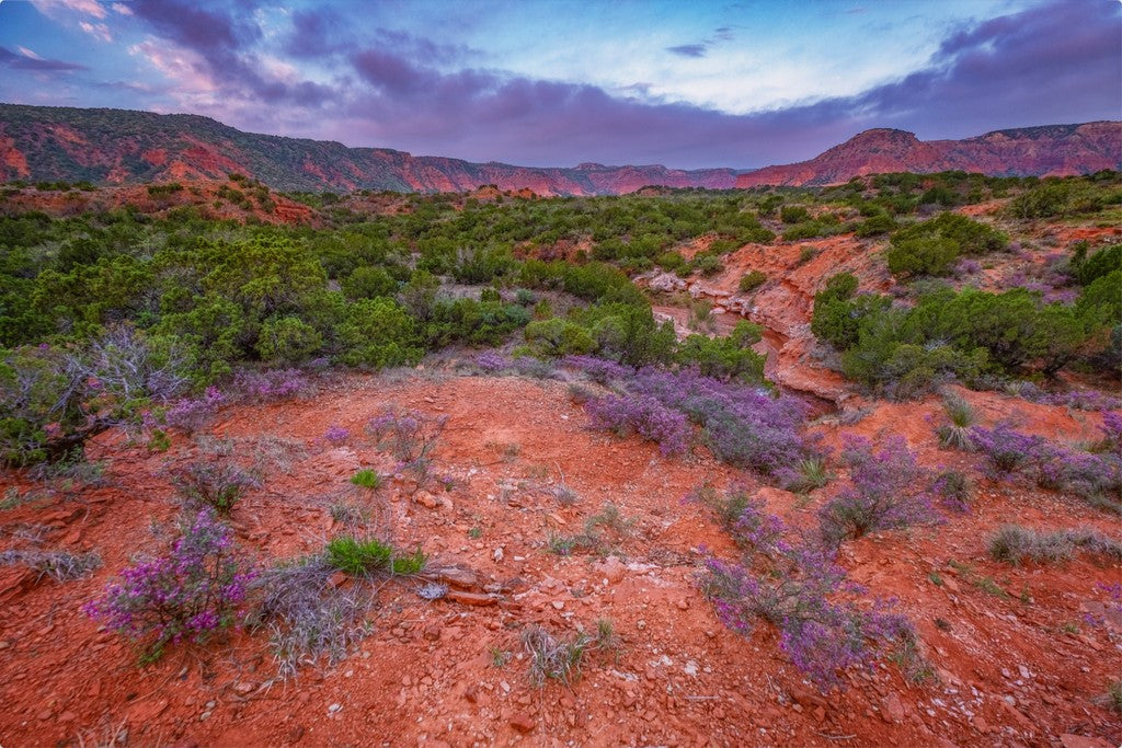 Caprock Sunrise