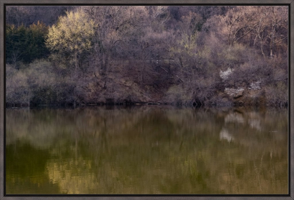 Dogwood Reflections II
