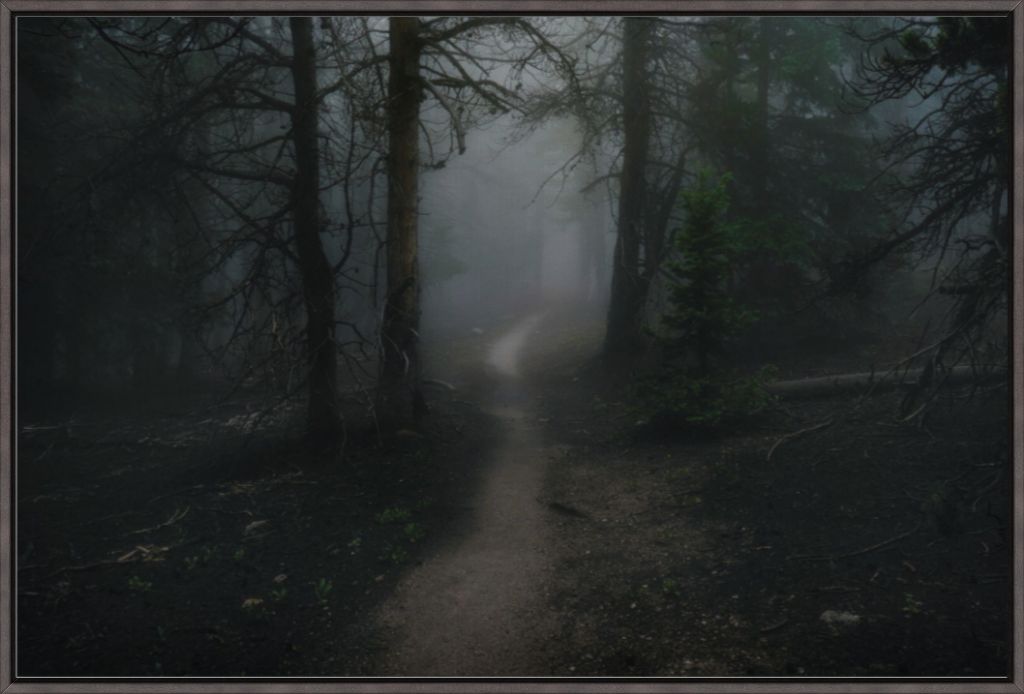 Dark Forest