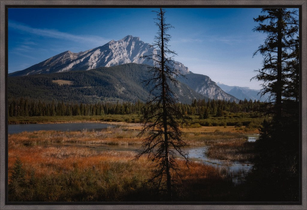 Alberta Wilderness Scene II