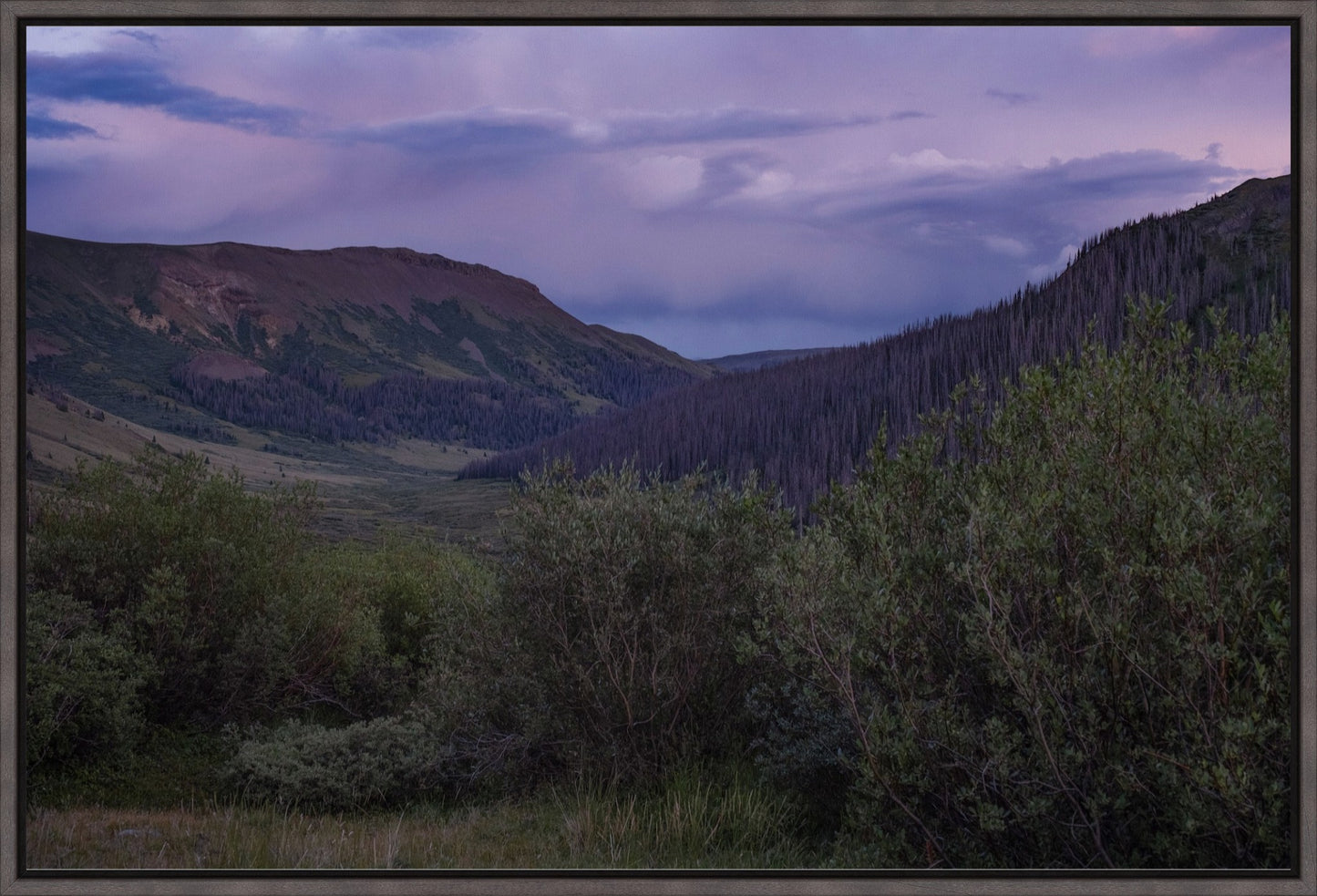 Violet Sunset I