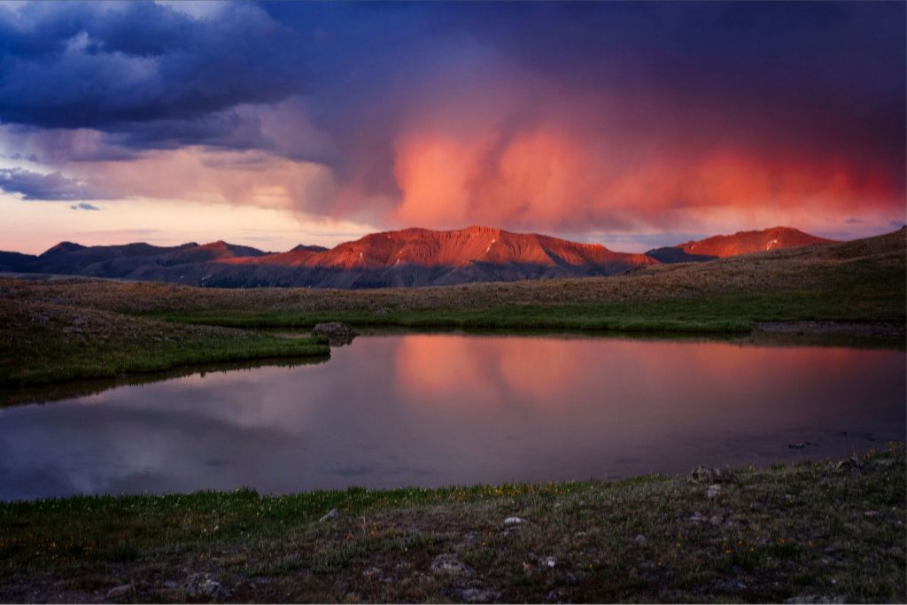 After the Hail Storm II