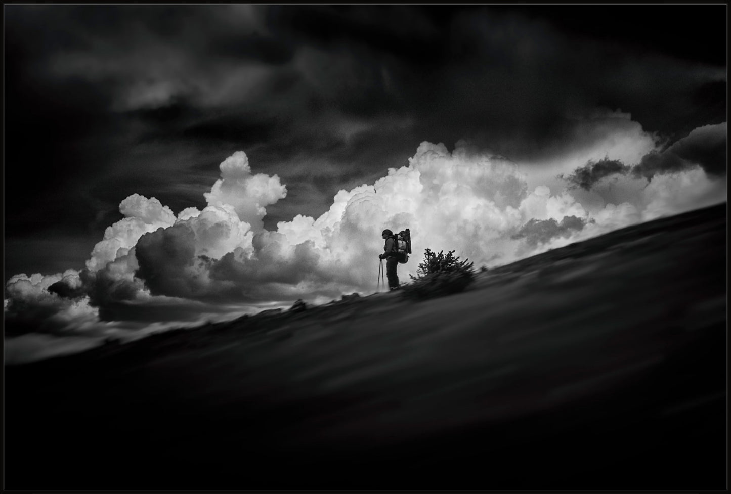 The Hiker